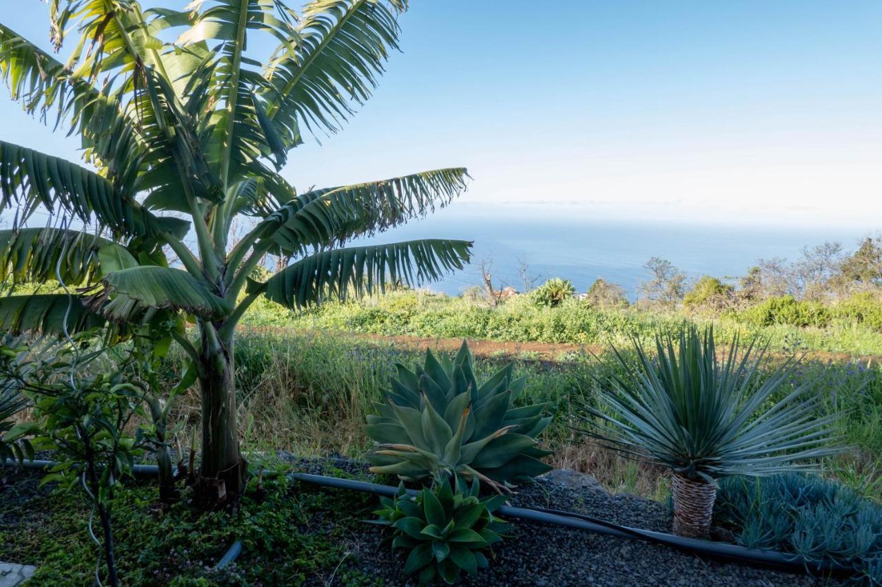 Hrlos Piratas - Ferien Haus La Palma - Good Wlan !! Tijarafe Ngoại thất bức ảnh