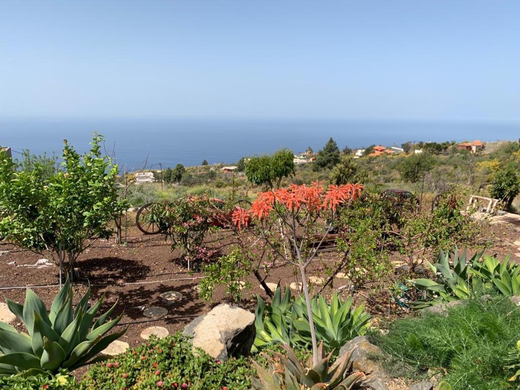 Hrlos Piratas - Ferien Haus La Palma - Good Wlan !! Tijarafe Ngoại thất bức ảnh