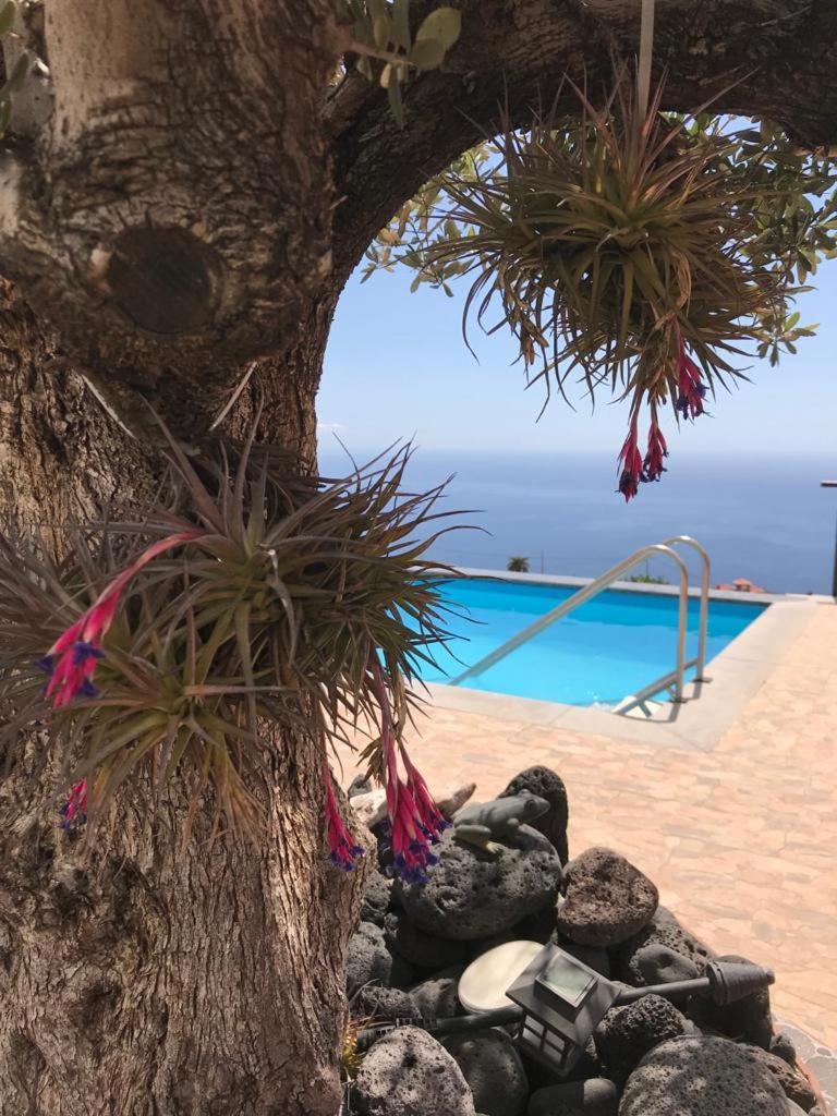 Hrlos Piratas - Ferien Haus La Palma - Good Wlan !! Tijarafe Ngoại thất bức ảnh